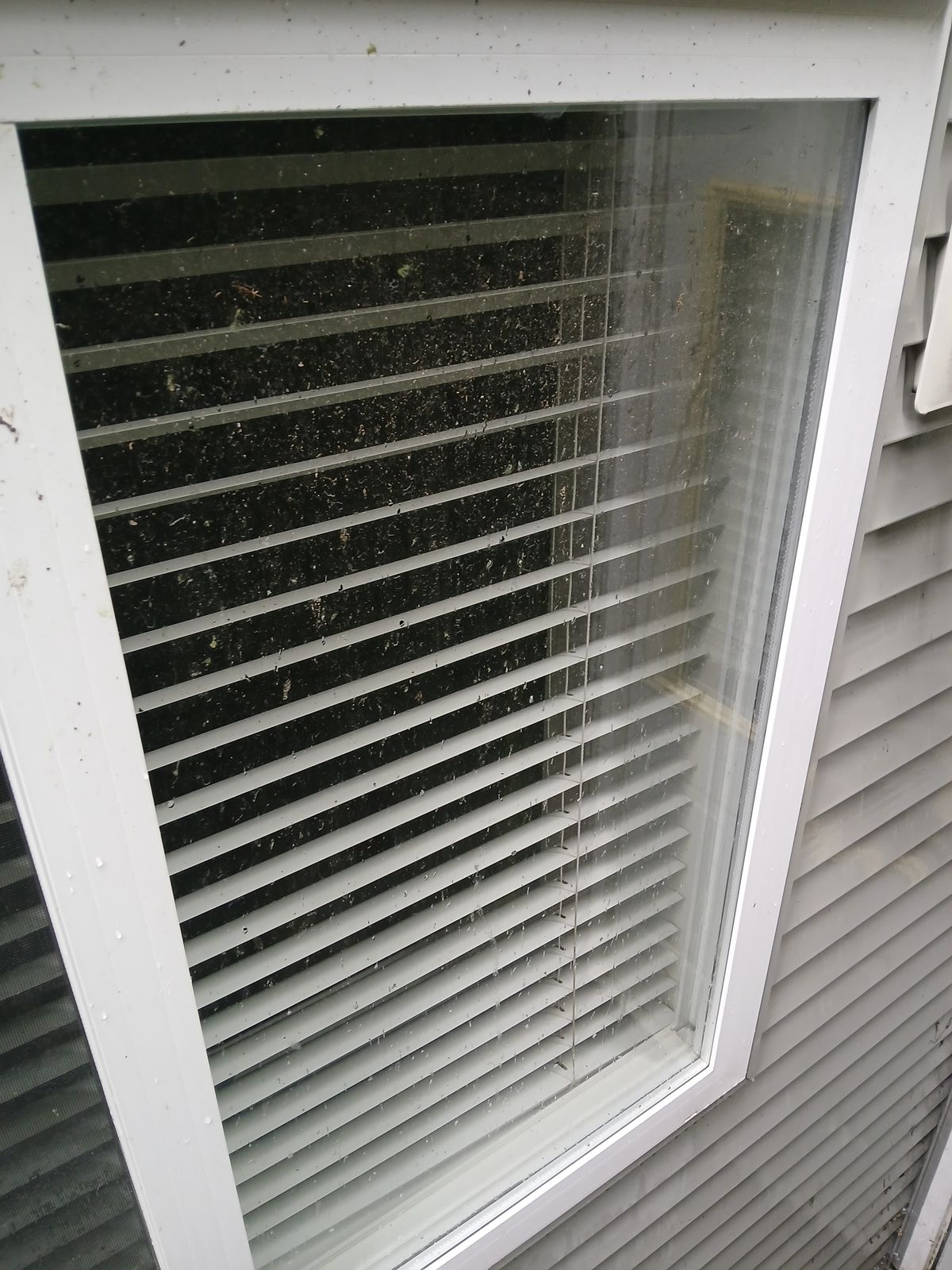 Dirty window covered in grime and debris before cleaning