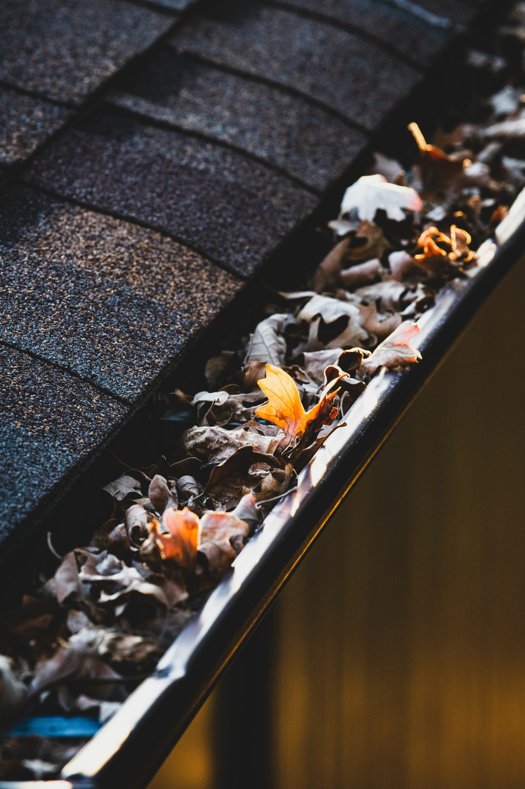 Gutter cleaning